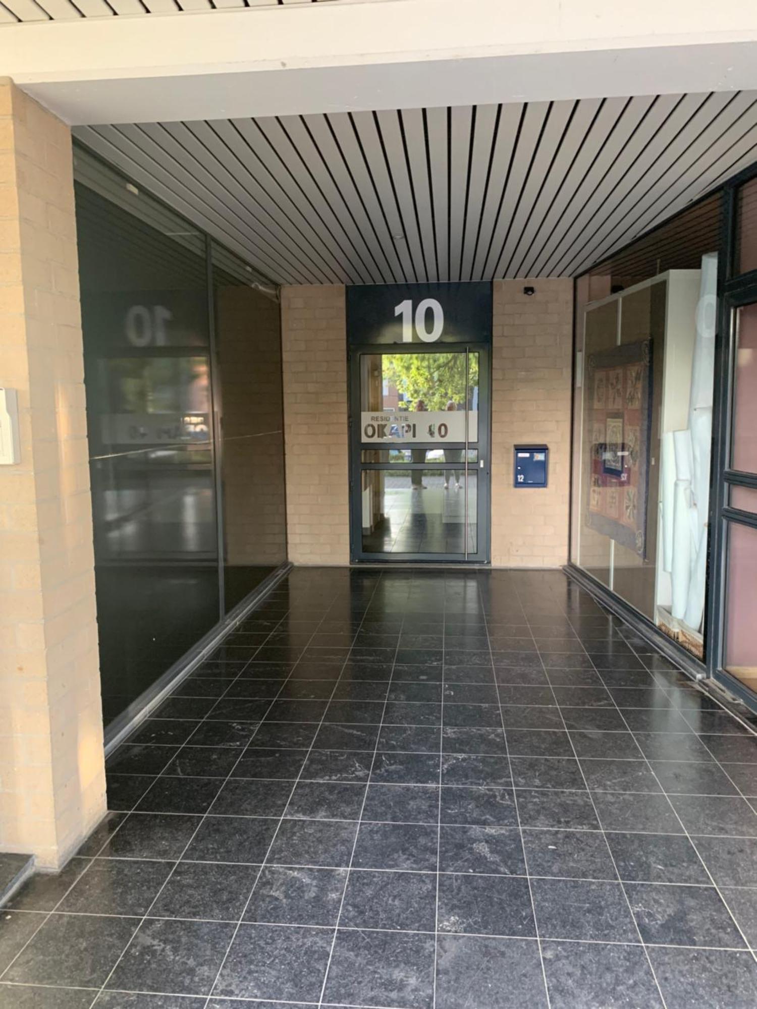 Okapi Halle (Flemish Brabant) Exterior foto